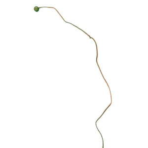 MSI VR610 Modul microfon + Cablu SWAP